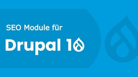 Drupal 10 SEO Module