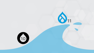 Drupal 11 Upgrade Service