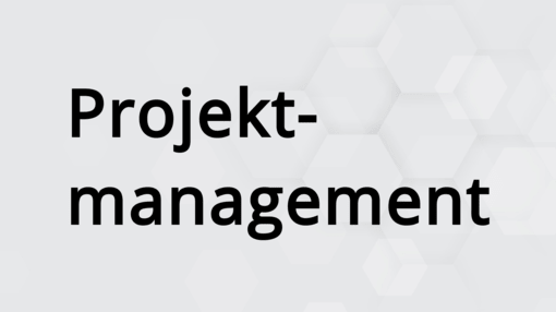 Projektmanagement