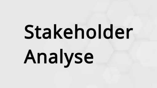 Stakeholder Analyse