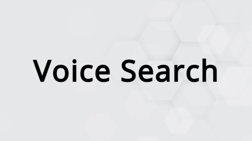 Voice Search