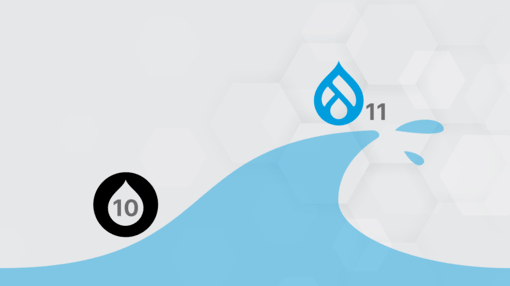 Drupal 11 Upgrade Service