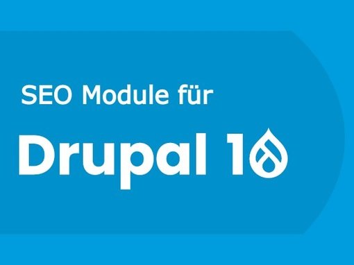 Drupal 10 SEO Module