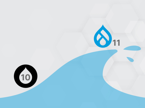 Drupal 11 Upgrade Service